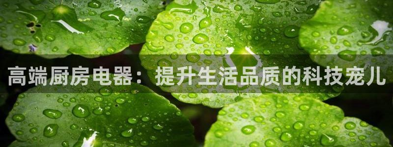 摩登7方3299O7
