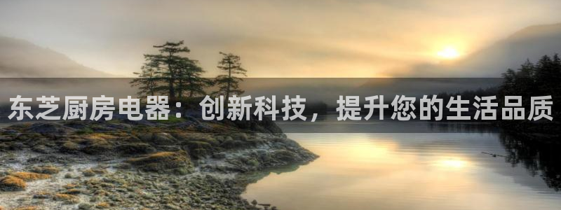 摩登7来宾
