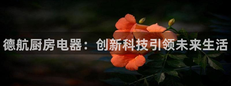 摩登7月7O667