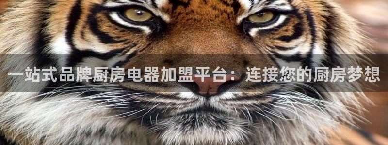 摩登3郑7O667
