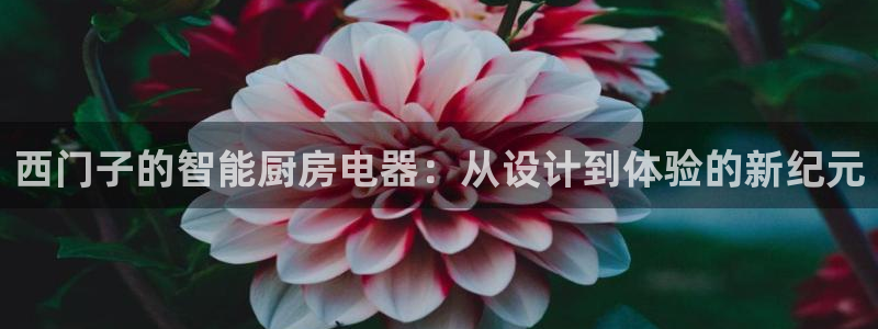 摩登7官方