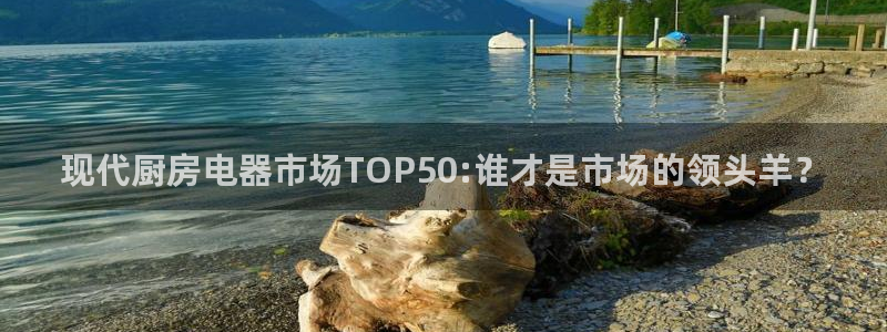 摩登7主管