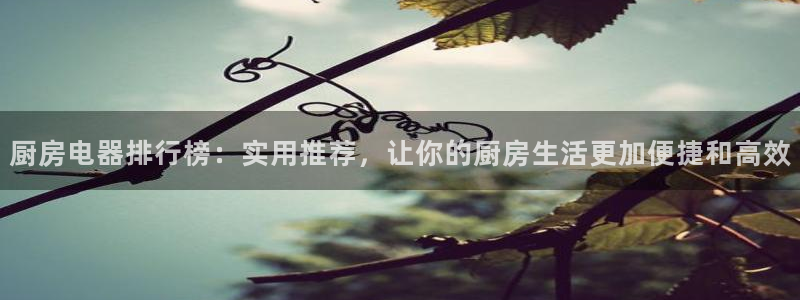 摩登4地7O667