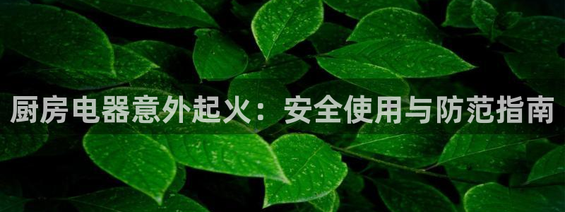 摩登7右3299O7