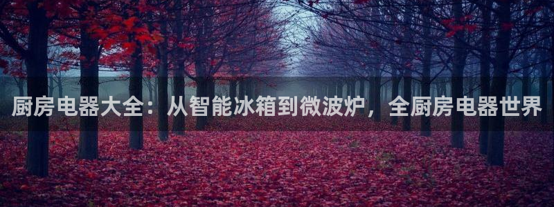 摩登5韩这7O667