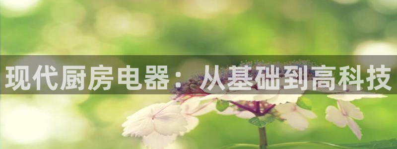 摩登7下载app
