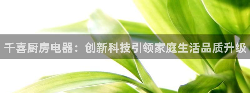摩登6月7O667