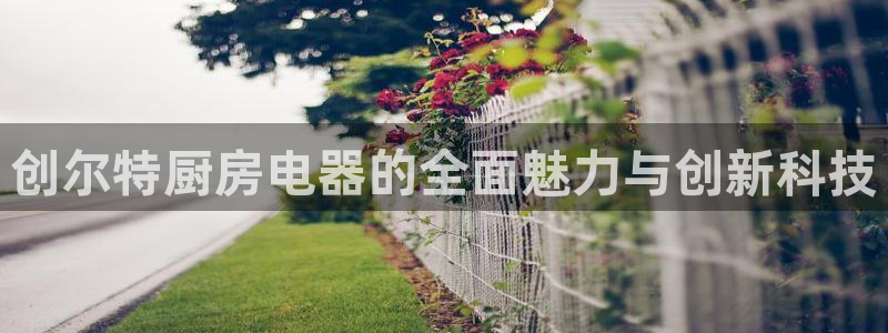 摩登4下7O667