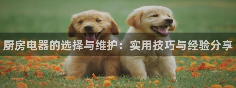 摩登7平台代理