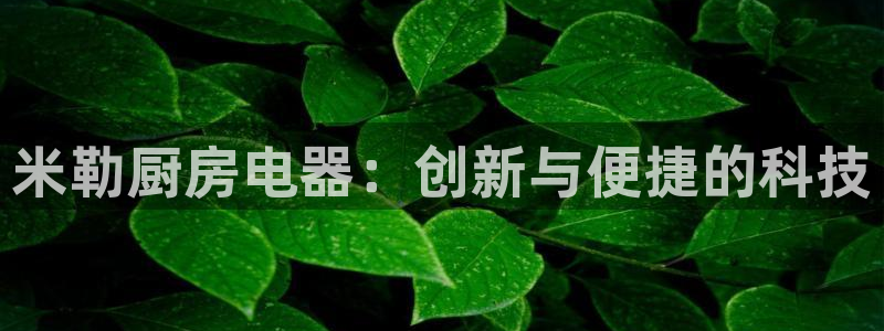 摩登7娱乐怎么样