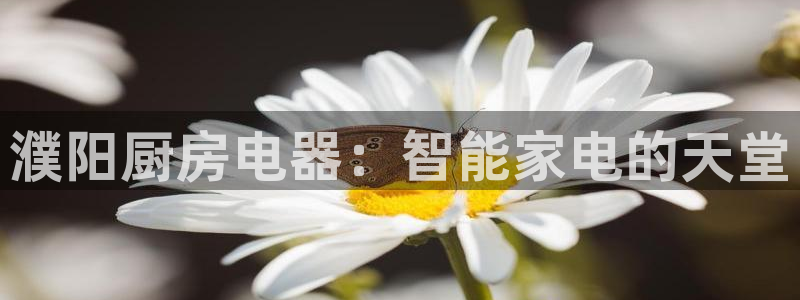 摩登6吴这7O667