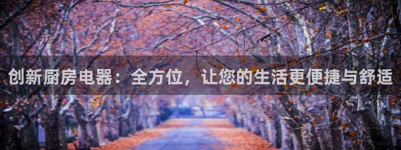 摩登4地7O667