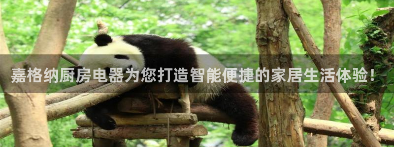 摩登5周7O667