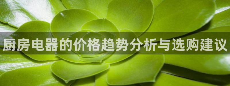 摩登精品7口碑极限