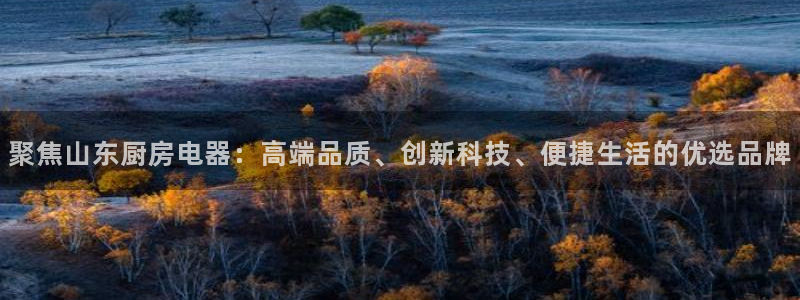 摩登7主管