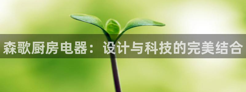 摩登6张7O667