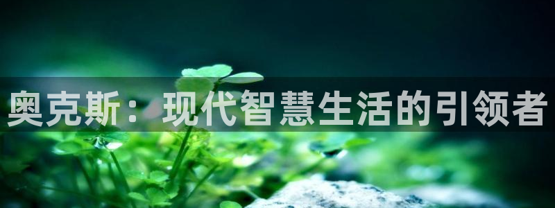 摩登7招商排名