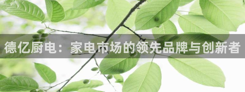 摩登3郑7O667