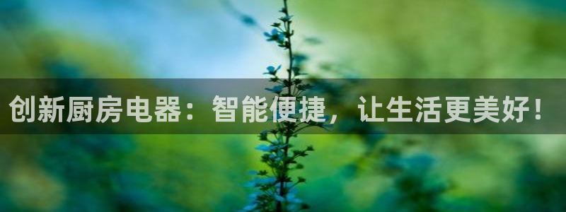 摩登3下7O667