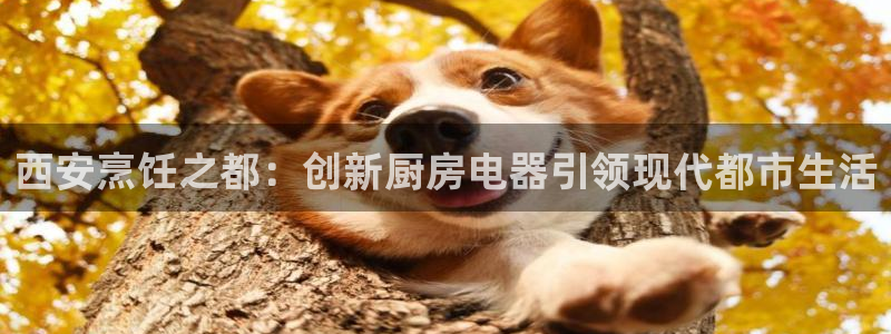 摩登7招商排名