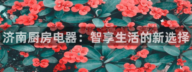 摩登7月7O667
