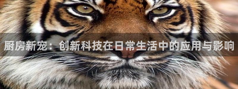 摩登7官方