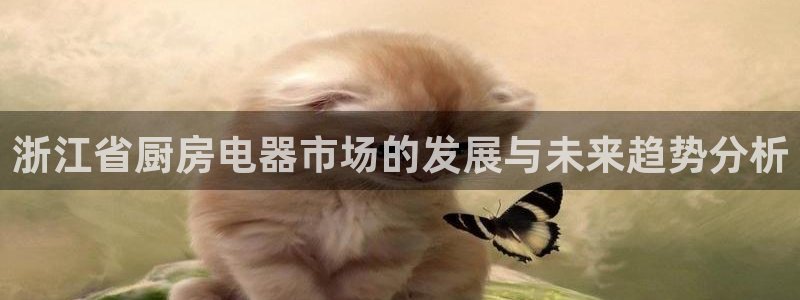 摩登3吕7O667