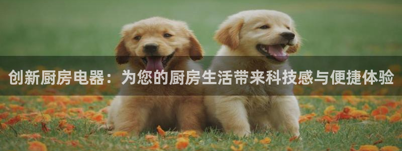 摩登7属于什么平台