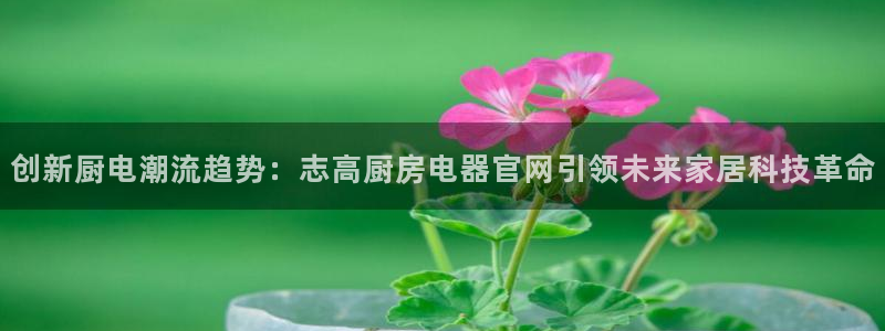 摩登7d2