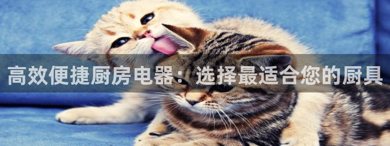 摩登7官网六柒五I38