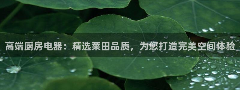 摩登7登陆平台
