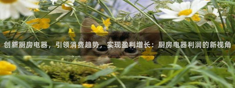 摩登7代理