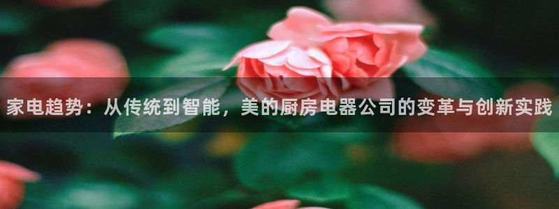 摩登7招商382223