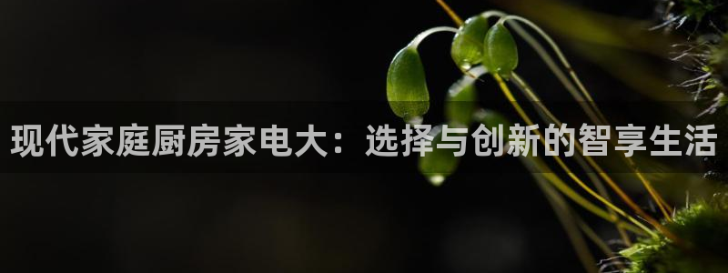 摩登7右