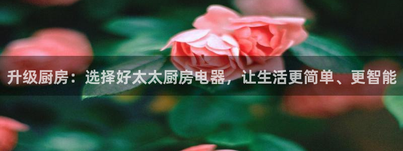 摩登3冯7O667