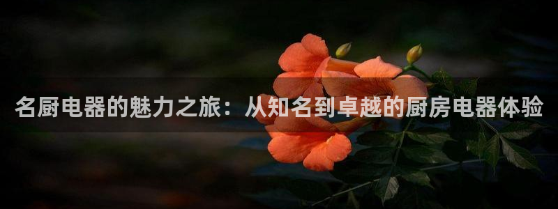 摩登7app网址下载