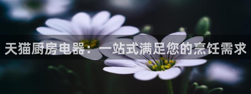 摩登7平台382223