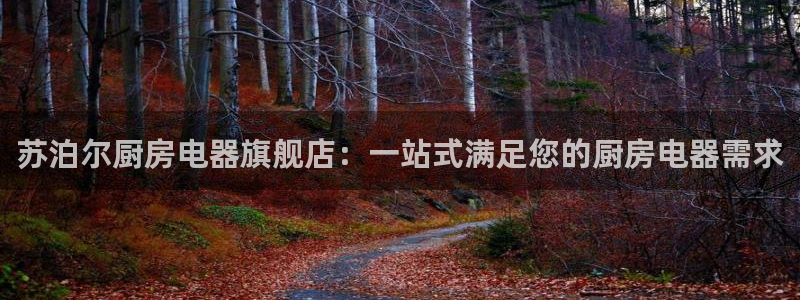 摩登7右