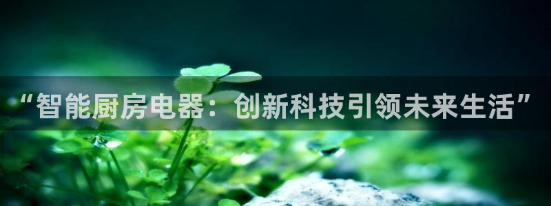 摩登招商7快22650
