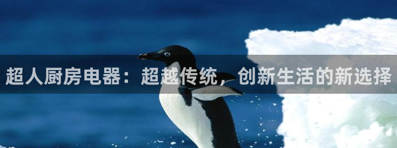 摩登4右7O667