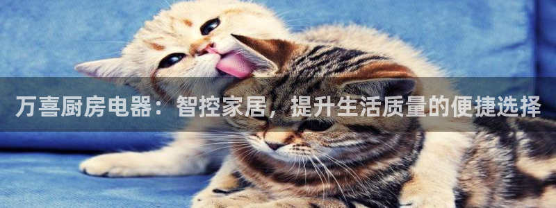 摩登3后7O667