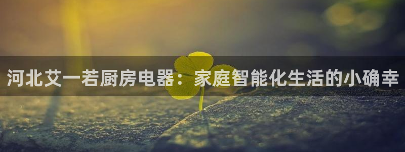 摩登6月7O667
