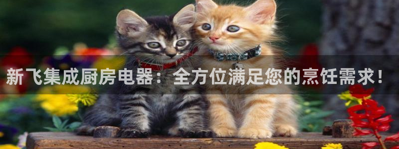 摩登7关