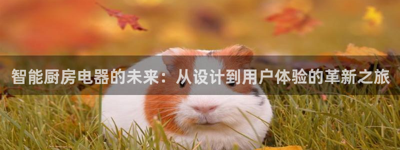 摩登5张7O667