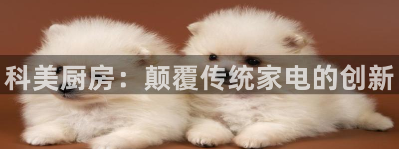 摩登7网站排名