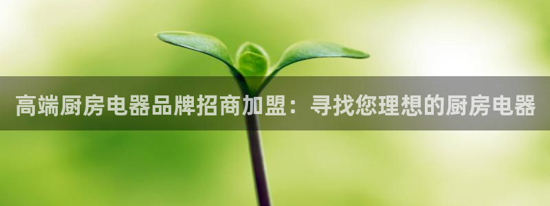 摩登7公司排名