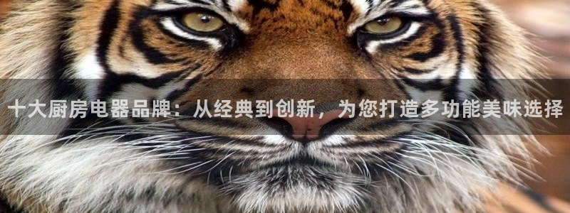 摩登5韩这7O667