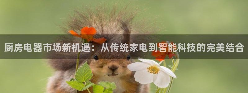 摩登7官网的详细介绍