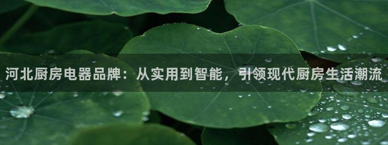 摩登5许7O667