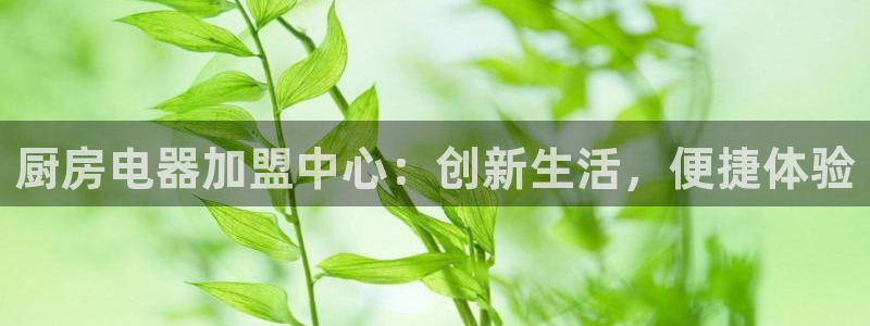 摩登平台除7O777